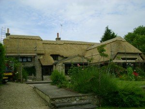 R and D Thatching