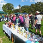 Chideock Fete - August 2014